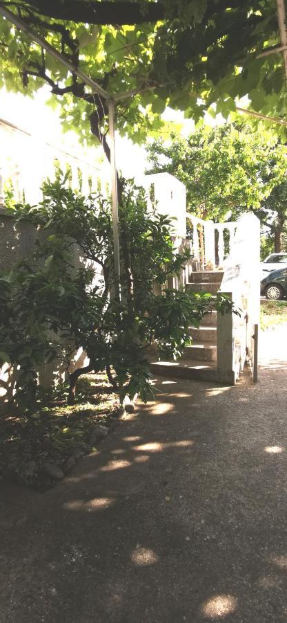 Sobe I Apartmani Marovic Petrovac 외부 사진